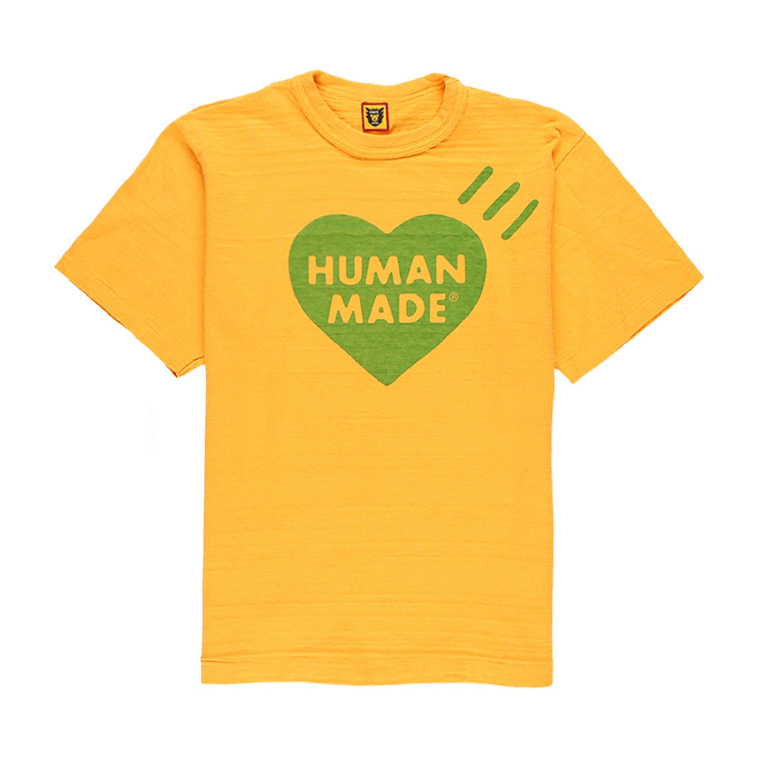 Color T-Shirt