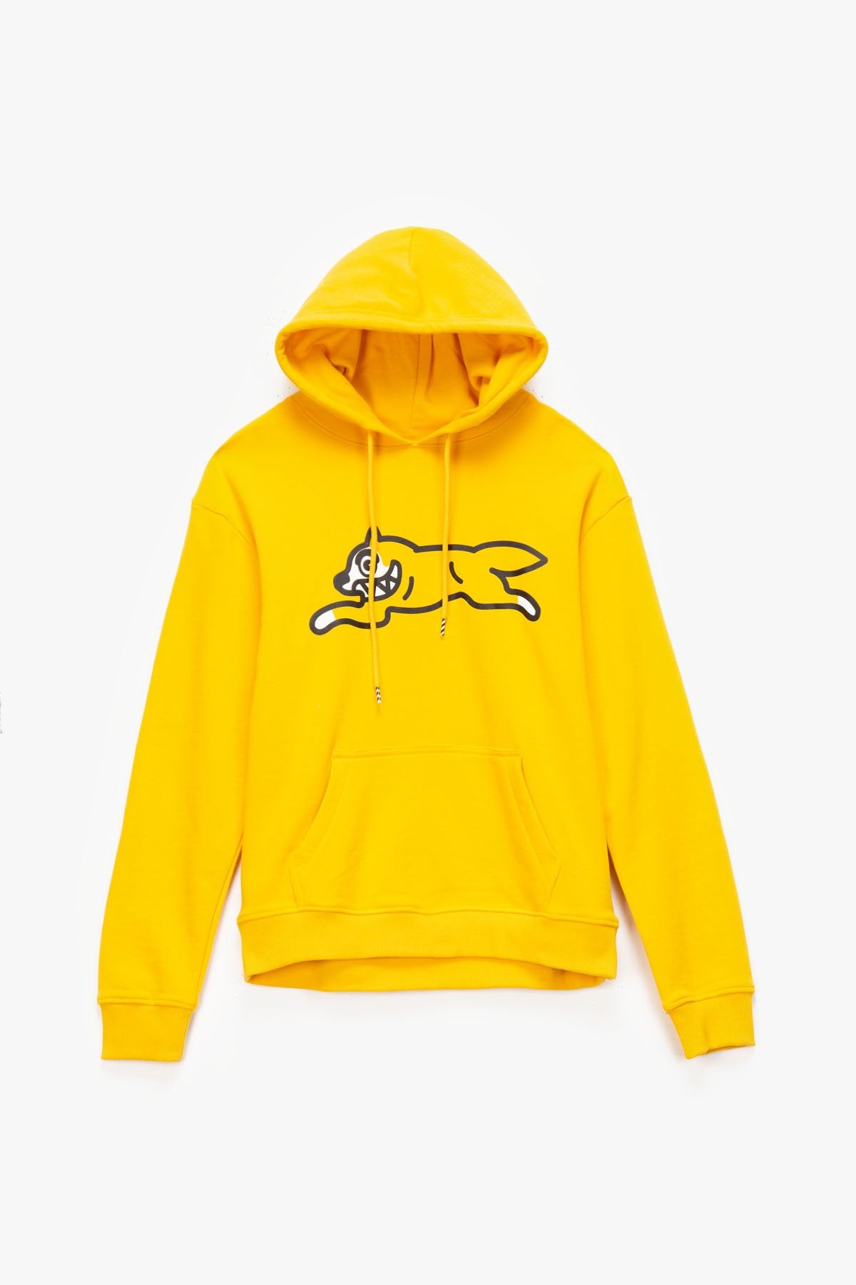 Dog Hoodie