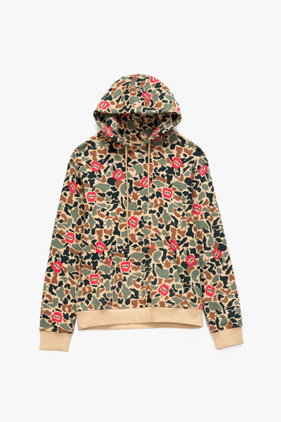 Hidden Hoodie