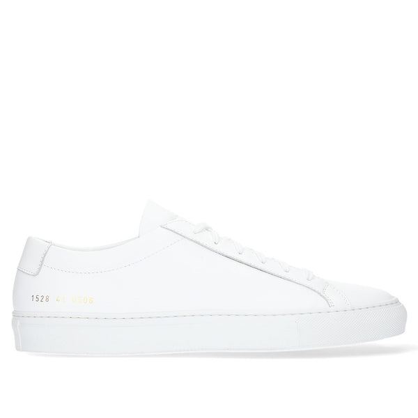 1528 0506 Achilles Low